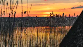 Zachód słońca nad jeziorem Dejguny, Lisi Ogon, kwiecień 2023 r. - zdjęcie 22