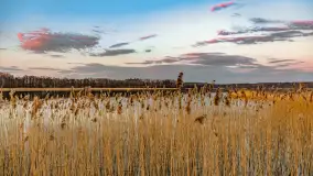 Zachód słońca nad jeziorem Dejguny, Lisi Ogon, kwiecień 2023 r. - zdjęcie 32