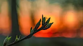 Zachód słońca nad jeziorem Dejguny, Lisi Ogon, kwiecień 2023 r. - zdjęcie 36