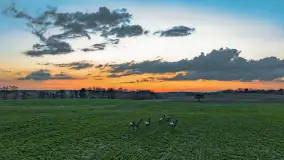 Zachód słońca nad jeziorem Dejguny, Lisi Ogon, kwiecień 2023 r. - zdjęcie 4