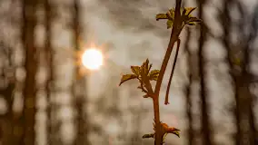 Wiosna i rozlewiska przy jeziorze Siercze niedaleko Gierłoży - zdjęcie 30