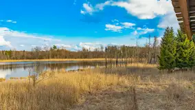 Wiosna i rozlewiska przy jeziorze Siercze niedaleko Gierłoży - zdjęcie 44