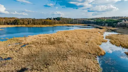 Wiosna i rozlewiska przy jeziorze Siercze niedaleko Gierłoży