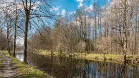 Kanał Mazurski, wiele ukrytych perełek - zdjęcie 24