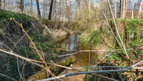 Kanał Mazurski, wiele ukrytych perełek - zdjęcie 66