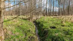 Kanał Mazurski, wiele ukrytych perełek - zdjęcie 67