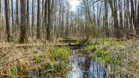 Wiosna już jest, taka prawdziwa, zielona i ciepła - zdjęcie 10