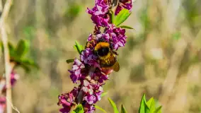 Wiosna już jest, taka prawdziwa, zielona i ciepła - zdjęcie 9