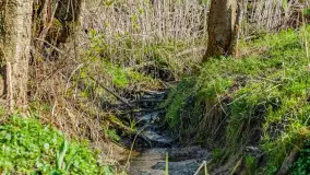 Wiosna już jest, taka prawdziwa, zielona i ciepła - zdjęcie 11