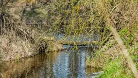 Wiosna już jest, taka prawdziwa, zielona i ciepła - zdjęcie 45