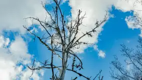 Wiosna już jest, taka prawdziwa, zielona i ciepła - zdjęcie 26