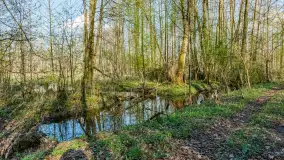 Wiosna już jest, taka prawdziwa, zielona i ciepła - zdjęcie 39