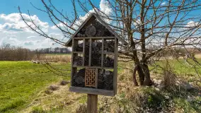 Plaża i ścieżka edukacyjna w Czernikach, jezioro Mój - zdjęcie 35