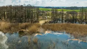 Plaża i ścieżka edukacyjna w Czernikach, jezioro Mój - zdjęcie 18