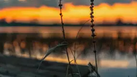 Zachód słońca nad jeziorem Dejgunek, kwiecień 2023 r.  - zdjęcie 14