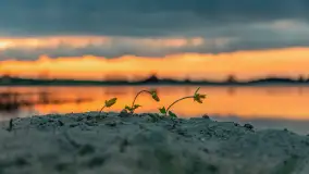 Zachód słońca nad jeziorem Dejgunek, kwiecień 2023 r.  - zdjęcie 28