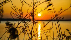 Zachód słońca w Pierkunowie, jezioro Kisajno, kwiecień 2023 r. - zdjęcie 13