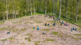Przy Wilczym Szańcu posadzono 5000 dębów - zdjęcie 84