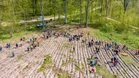 Przy Wilczym Szańcu posadzono 5000 dębów - zdjęcie 13