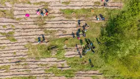 Przy Wilczym Szańcu posadzono 5000 dębów - zdjęcie 88