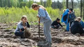 Przy Wilczym Szańcu posadzono 5000 dębów - zdjęcie 43