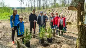 Przy Wilczym Szańcu posadzono 5000 dębów - zdjęcie 74