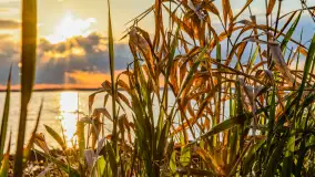 Wiosenny zachód słońca nad Darginem - zdjęcie 19