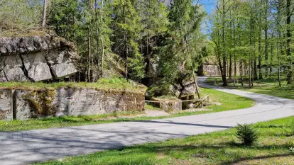 Majowy spacer po Wilczym Szańcu w Gierłoży