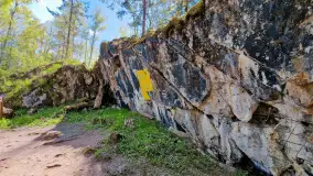 Majowy spacer po Wilczym Szańcu w Gierłoży - zdjęcie 11