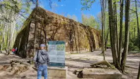 Majowy spacer po Wilczym Szańcu w Gierłoży - zdjęcie 12