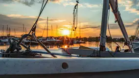 Zachód Słońca w Tle Dla Mew, jezioro Boczne, maj 2023 r. - zdjęcie 20