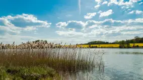 Keja Makarina nad jeziorem Wojnowo, maj 2023 r. - zdjęcie 18