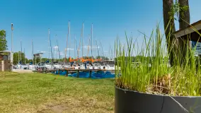 Stranda w Giżycku, maj 2023 r. - zdjęcie 17