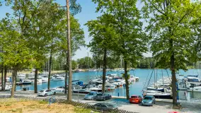 Stranda w Giżycku, maj 2023 r. - zdjęcie 11