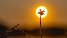 Majowy zachód słońca nad jeziorem Siercze, 2023 - zdjęcie 25