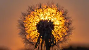 Majowy zachód słońca nad jeziorem Siercze, 2023 - zdjęcie 11