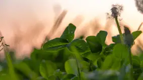 Majowy zachód słońca nad jeziorem Siercze, 2023 - zdjęcie 21