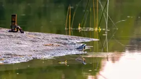 Majowy zachód słońca nad jeziorem Siercze, 2023 - zdjęcie 9