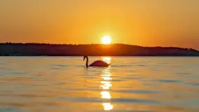 Zachód słońca nad jeziorem Niegocin, maj 2023 r. - zdjęcie 24