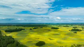 Wspomnienia rzepakowych pól na Mazurach 2023 - zdjęcie 47