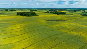 Wspomnienia rzepakowych pól na Mazurach 2023 - zdjęcie 73