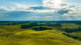 Wspomnienia rzepakowych pól na Mazurach 2023 - zdjęcie 48