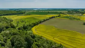 Wspomnienia rzepakowych pól na Mazurach 2023 - zdjęcie 85