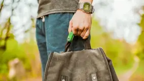 Recenzje Tickless – ultradźwiękowego urządzenia przeciw kleszczom - zdjęcie 5