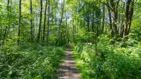 Jezioro Seksty i okolice kanału Jeglińskiego, czerwiec 2023 r. - zdjęcie 20