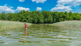 Jezioro Seksty i okolice kanału Jeglińskiego, czerwiec 2023 r. - zdjęcie 16