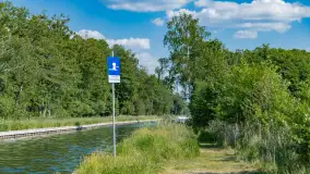 Jezioro Seksty i okolice kanału Jeglińskiego, czerwiec 2023 r. - zdjęcie 26