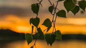 Zachód słońca nad jeziorem Tałty w Mikołajkach, czerwiec 2023 r. - zdjęcie 14