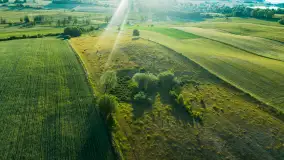 Mazurskie pola i łąki z lotu ptaka, czerwiec 2023 r. - zdjęcie 29