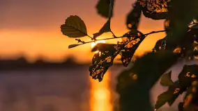 Zachód słońca nad jeziorem Dejgunek, lipiec 2023 r. - zdjęcie 18